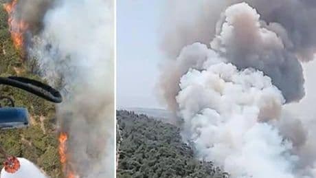 İzmir'de orman yangını! Havadan karadan müdahale