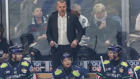 Deutsche Eishockey Liga: Eisbären Berlin feiern Trainingsauftakt mit 1.500 Fans