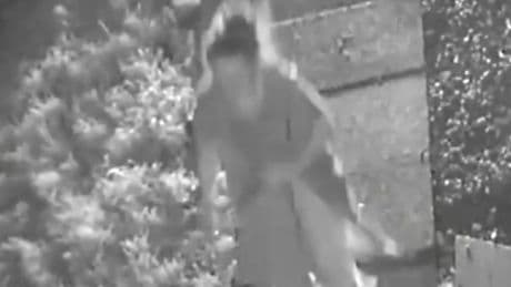 Chilling moment Kirsty Carless creeps through garden before stabbing ex to death