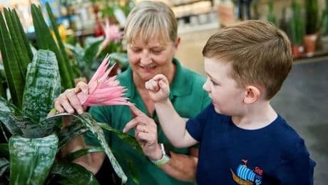 Unearth prehistoric plants at Dobbies Sandyholm store next month