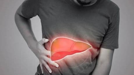 Tumori: il cancro al fegato cambia metabolismo per resistere alle cure