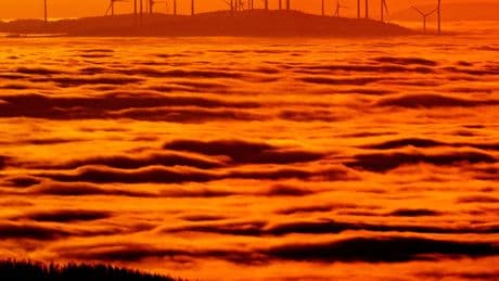 Trump Tries to Derail Climate Progress
