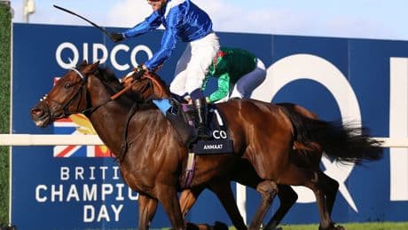 Wednesday’s Royal Ascot Tips & Day Two Best Bets