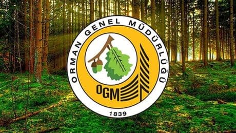 Orman Genel Müdürlüğü: Yangınlara müdahale devam ediyor