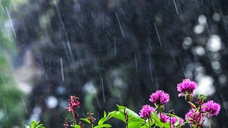 Wetter: Wolkig mit Aussicht auf Besserung