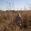 Betrayal of Zimbabwe's white farmers: 'Tiny fraction' of those whose land was taken by Mugabe in the 2000s have received promised compensation
