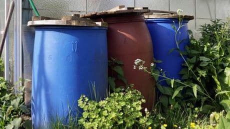 Heilbronn: Tote Tiere in Regentonne gefunden