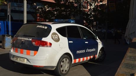 Detenido un apicultor de 70 años por agredir a dos Mossos con centenares de abejas