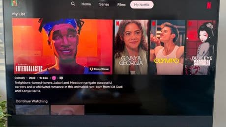 Sky customers receive blockbuster free Netflix upgrade on their TVs today