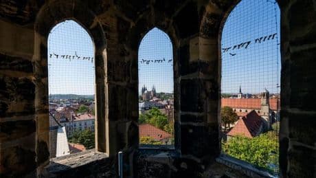 Besondere Aussichten: Türme erklimmen und über Erfurts Altstadt blicken