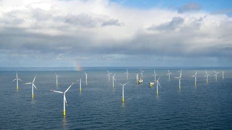 Studie: Windparks könnten chemische Stoffe ins Meer abgeben