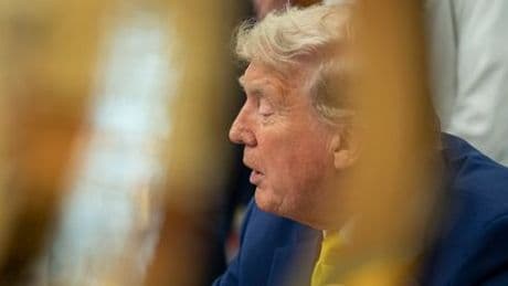 Nato – Donald Trump: Gipfel soll kürzer werden, um US-Präsident nicht zu langweilen