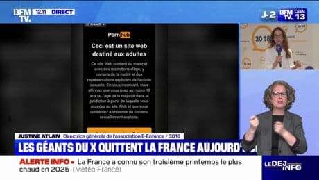 "100% des mineurs aujourd'hui peuvent consommer en ligne de la pornographie", alerte Justine Atlan (E-Enfance)