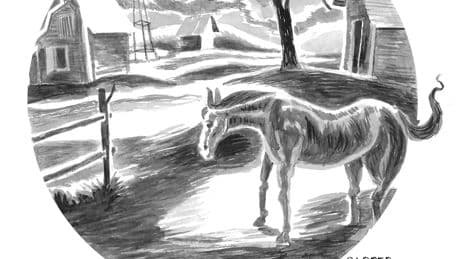 Daily Cartoon: Thursday, August 21st