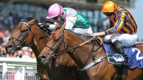 Heartbreak for Roger Teal as Lead Artist runs down Dancing Gemini in dying strides of Lockinge