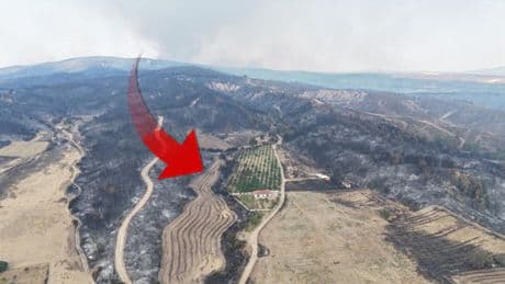 Çanakkale'de her yer griye döndü! Bir tek orası yemyeşil kaldı