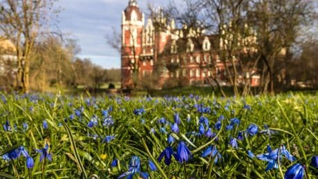 Gefeierter Unesco-Titel: Muskauer Park über Landesgrenze hinweg wiederhergestellt