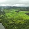 La forêt amazonienne au Brésil a été amputée d’une surface équivalente à l’Espagne en 40 ans