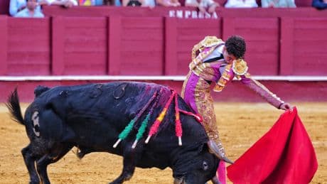 Grata impresión de Víctor Hernández, que corta una oreja en su reaparición en La Malagueta