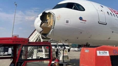 Passengers in 'sheer panic' after holiday flight severely damaged by huge bird