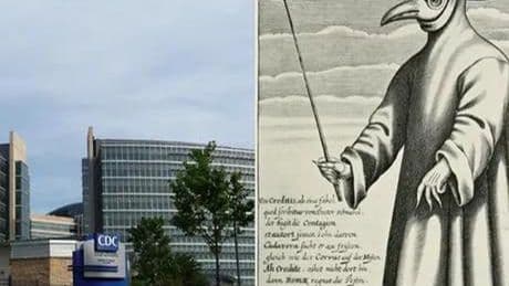 BİR GÜN İÇİNDE ÖLDÜRDÜ! ABD'DE 18 YIL SONRA BİR İLK YAŞANDI, ORTA ÇAĞ'IN KABUS HASTALIĞI GERİ Mİ DÖNÜYOR?