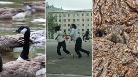 NPR readers celebrate World Photography Day with stories behind their favorite photos