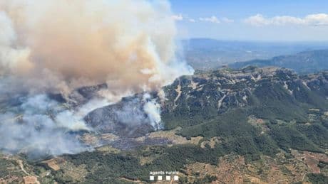 Ecologistas y propietarios apuestan por unos bosques más esponjados