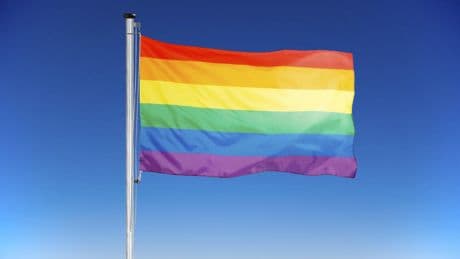 Lituanie : l’interdiction du mariage pour tous jugée inconstitutionnelle