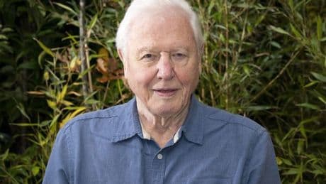 Tragic phone call that turned David Attenborough's world upside down