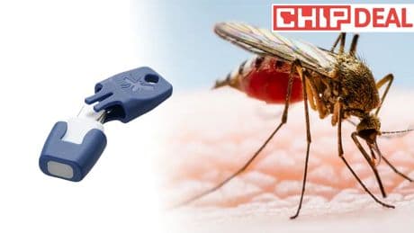 Immer griffbereit: Effektive Hilfe bei Insektenstichen – auch auf Reisen