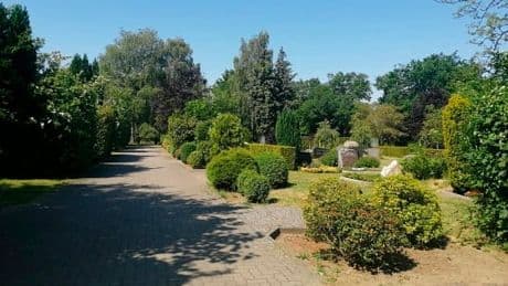 Alle Beerdigungen gestoppt! - Auf diesem deutschen Friedhof werden die Leichen zu Mumien