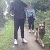 Moment cyclist is pushed into canal by furious dog walker in row over 'slowing down'