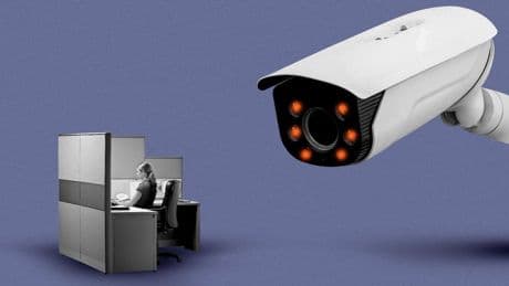 Immigration crackdown fears hit white-collar offices