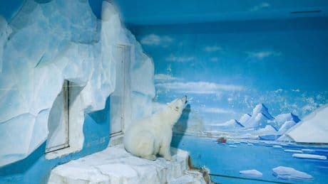 The Futility of Simulating Nature