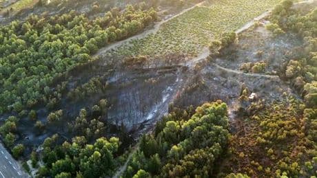 L’incendie parti de Sigean, dans l’Aude, a été fixé, les pompiers restent « vigilants » en raison du vent violent