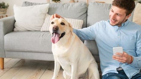 Dog owners warned by vet over common issue could spread to vital organs