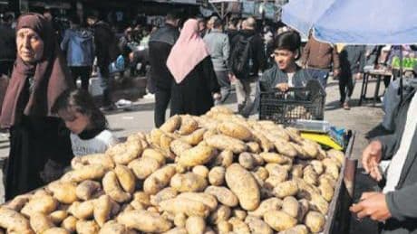 Gazze’de patates bile lüks!