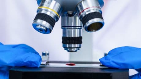 Fraudulent Scientific Papers Are Rapidly Increasing, Study Finds