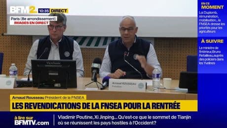 Acétamipride: la FNSEA plaide pour l'application de "mêmes règles" partout en Europe