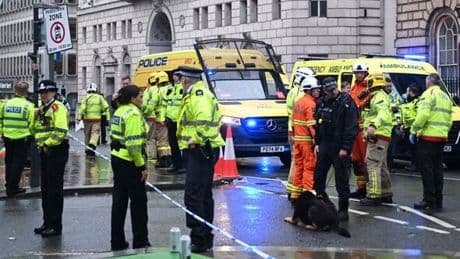Police investigating new Liverpool parade crash theory on driver slamming into crowd