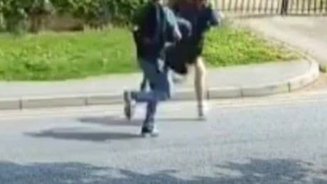 Hunt for two teenagers after kittens found tortured and dismembered
