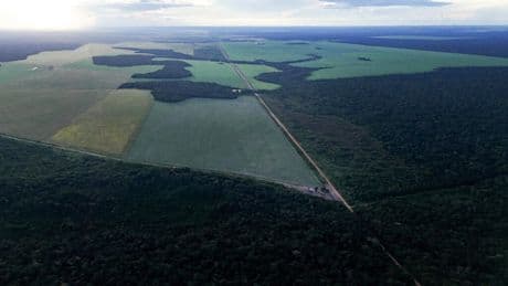 Le Brésil se prépare à accueillir la COP30 dans six mois, l'agrobusiness pointé du doigt