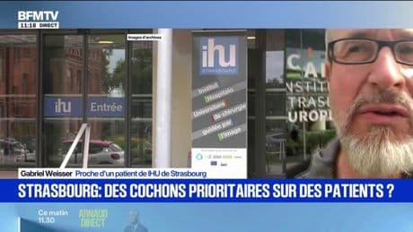 "J'étais scandalisé": à Strasbourg, des cochons prioritaires pour des IRM face à des patients cancéreux