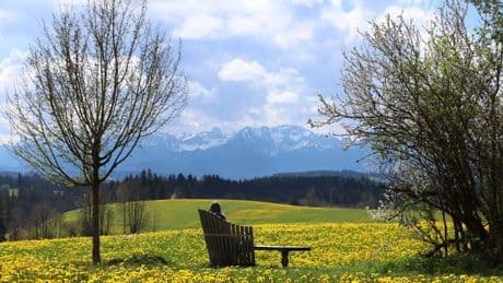 Umfrage: Wie heimatverbunden ist man in Bayern?