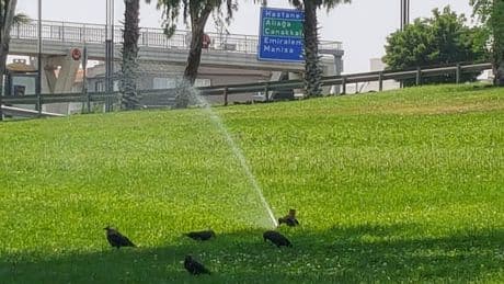 ​​​​​​​Menemen Belediyesi'nin "susuzluktan" haberi yok mu?