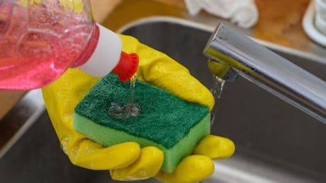 Washing-up liquid trick repels spiders from your home as mating season starts