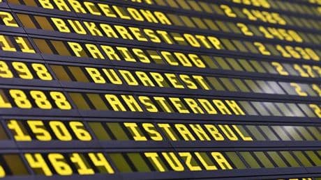 Diplômé sans avenir, il s’expatrie et trouve une carrière