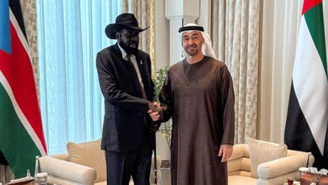 Engagement armé, investissement massif... Les Émirats arabes unis, nouveaux parrains de l’Afrique de l’est