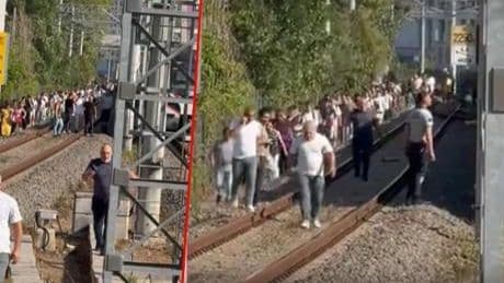 Marmaray'da beklenmedik olay! Hatta ağaç devrildi, yolcular demir yolunda yürüdü