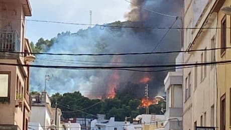 Declarado un incendio de vegetación cerca de zona urbana en la localidad valenciana de Oliva